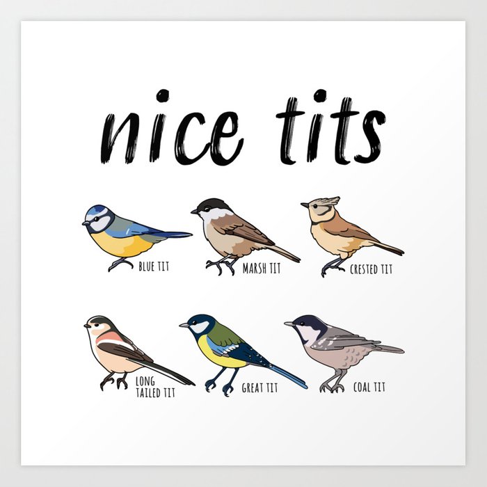 Name:  bird-watching-funny-nice-tits-gift3167778-prints.jpg
Views: 320
Size:  46.7 KB