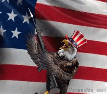 Name:  freedom-america.gif
Views: 392
Size:  2.31 MB