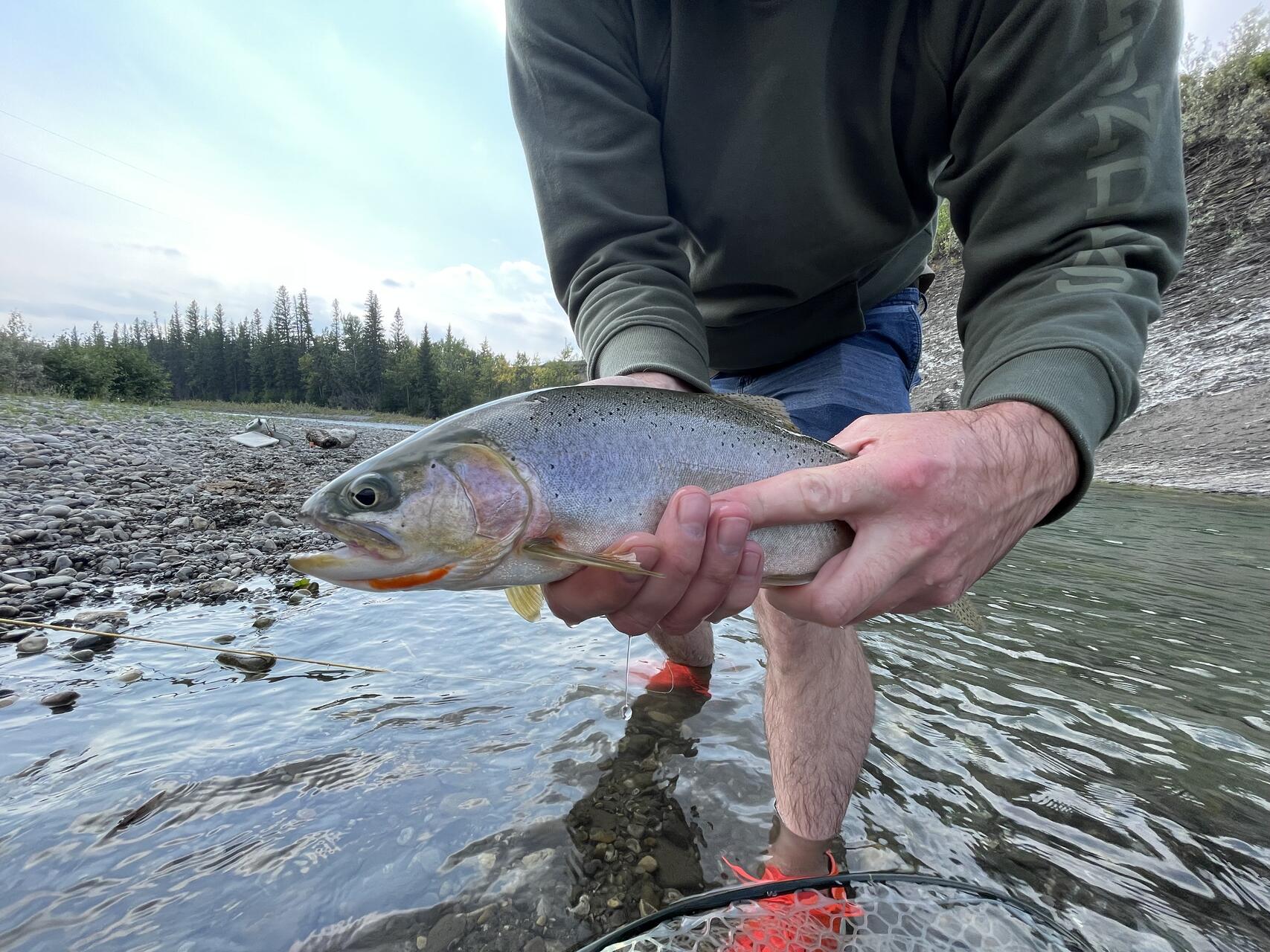 Fly fishing - Beyond.ca - Car Forums