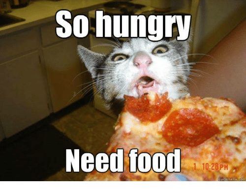 Name:  so-hungry-need-food-quickmeme-com-34407065.png
Views: 365
Size:  103.0 KB