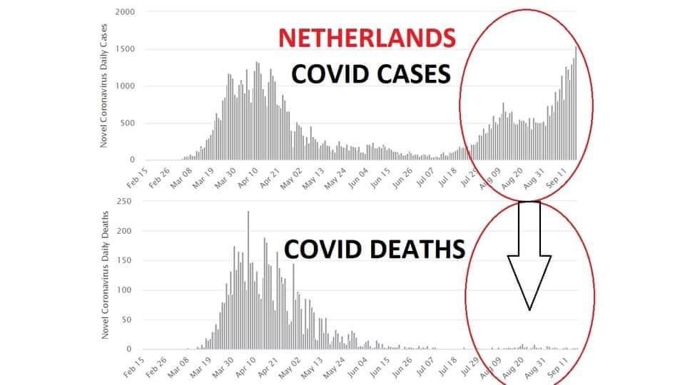 Name:  Covid Netherlands.jpg
Views: 295
Size:  41.4 KB