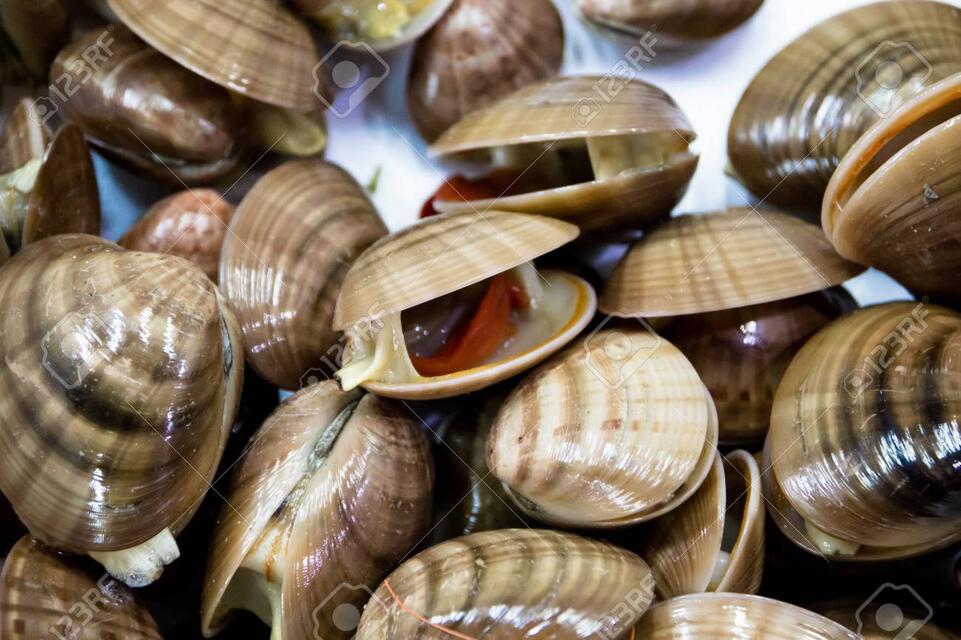 Name:  86936333-fresh-clams-seafood.jpg
Views: 266
Size:  97.6 KB