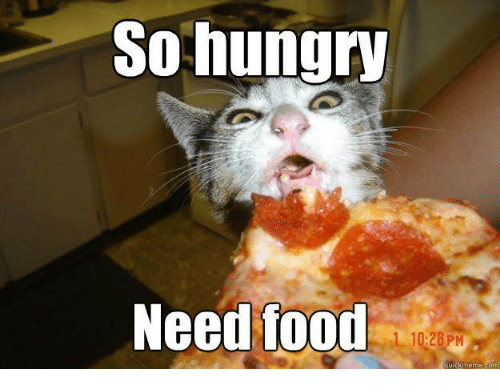 Name:  so-hungry-need-food-quickmeme-com-34407065.png
Views: 341
Size:  103.0 KB