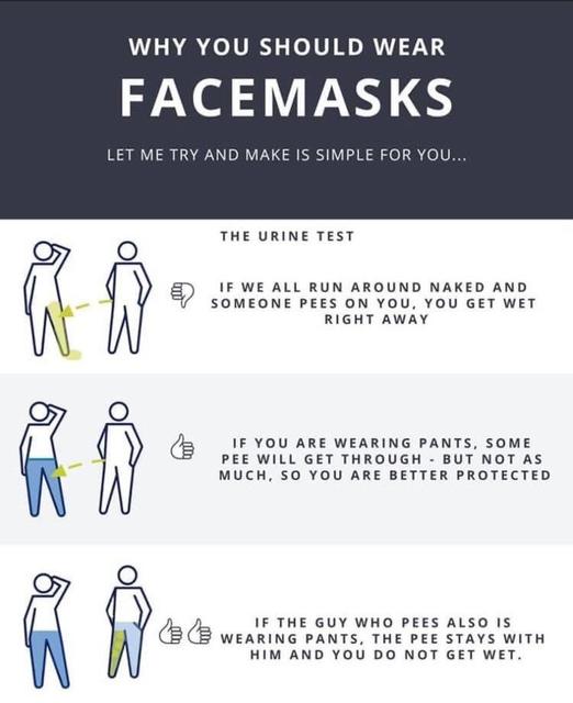 Name:  Wear A Mask.jpg
Views: 308
Size:  36.4 KB