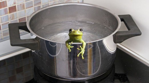 Name:  frog.boiling-pot-1.jpg
Views: 431
Size:  32.2 KB