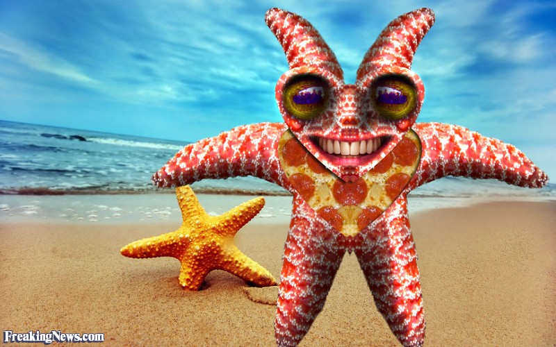 Name:  Strange-Starfish-Man--99841.jpg
Views: 748
Size:  130.8 KB