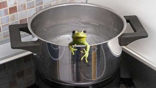 Name:  frog.boiling-pot-1.jpg
Views: 410
Size:  32.2 KB