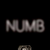 CompletelyNumb's Avatar